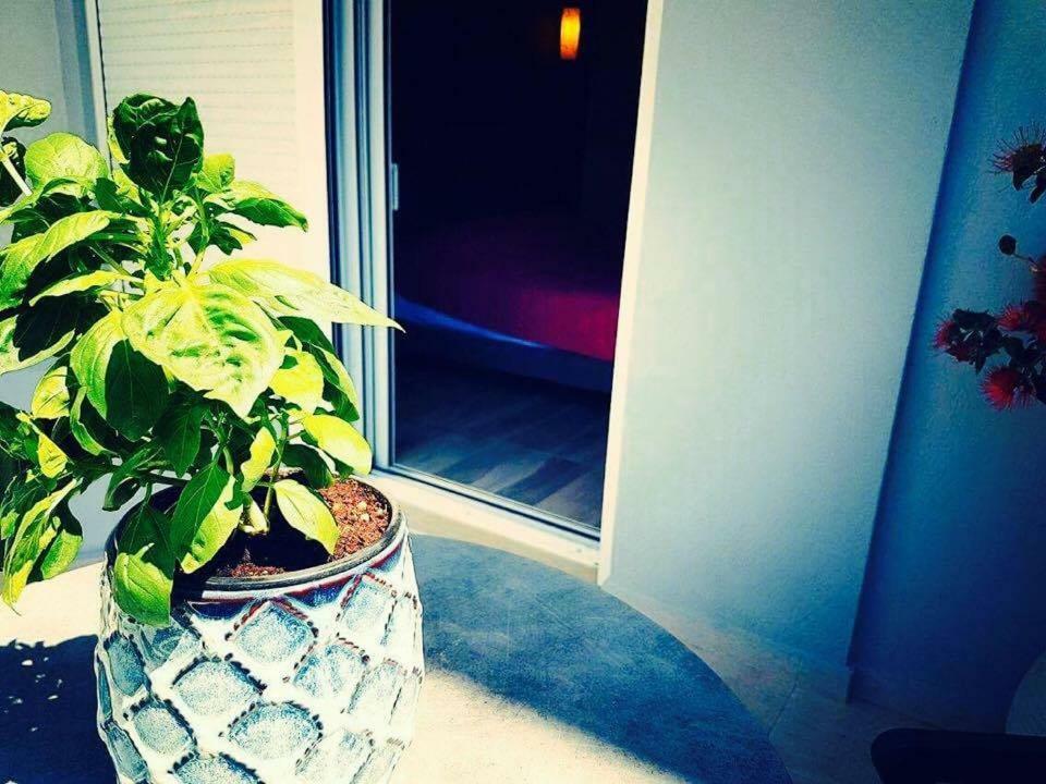 Luxury Apartments Near To The Beach Plakias Bagian luar foto